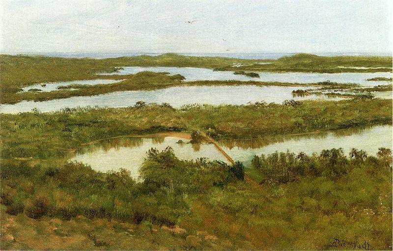 Albert Bierstadt A River Estuary, oil painting image